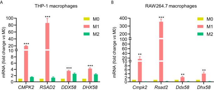 https://cdn.ncbi.nlm.nih.gov/pmc/blobs/d032/8276023/c0571af4da13/fimmu-12-700009-g006.jpg