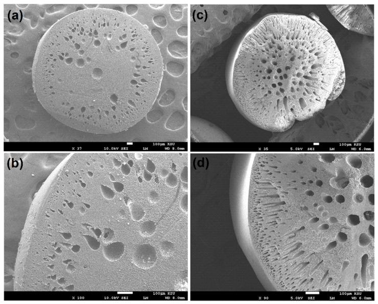 https://cdn.ncbi.nlm.nih.gov/pmc/blobs/d033/10818697/e5bd8f54f23d/membranes-14-00009-g004.jpg