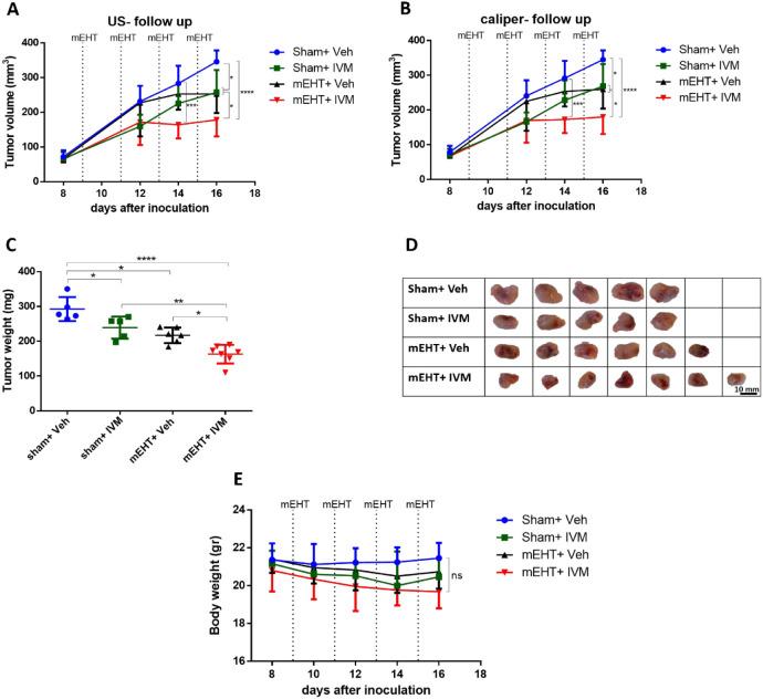 https://cdn.ncbi.nlm.nih.gov/pmc/blobs/d033/11320741/2706e2fdec8f/pt4c00314_0002.jpg