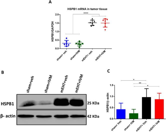 https://cdn.ncbi.nlm.nih.gov/pmc/blobs/d033/11320741/3bb34dc1dd9e/pt4c00314_0003.jpg
