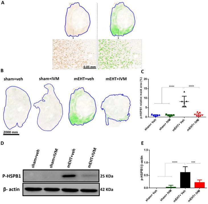 https://cdn.ncbi.nlm.nih.gov/pmc/blobs/d033/11320741/bfadb8eb11a7/pt4c00314_0004.jpg