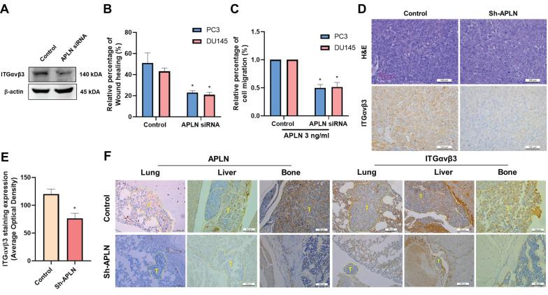 https://cdn.ncbi.nlm.nih.gov/pmc/blobs/d034/12223769/4da0bbd9b2e5/ijbsv21p4117g006.jpg