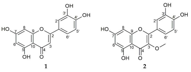 https://cdn.ncbi.nlm.nih.gov/pmc/blobs/d034/9000735/885aefa9c7fd/molecules-27-02132-g001.jpg