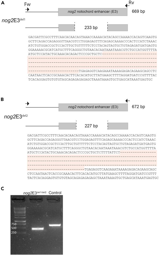 https://cdn.ncbi.nlm.nih.gov/pmc/blobs/d035/7757680/2cf5338f9a38/gr7.jpg