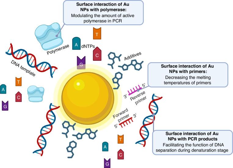 https://cdn.ncbi.nlm.nih.gov/pmc/blobs/d037/12177080/f4d153cfeea4/41378_2025_898_Fig3_HTML.jpg