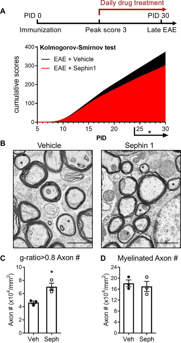 https://cdn.ncbi.nlm.nih.gov/pmc/blobs/d038/7987340/c6e5f6bb3e8f/elife-65469-fig1.jpg