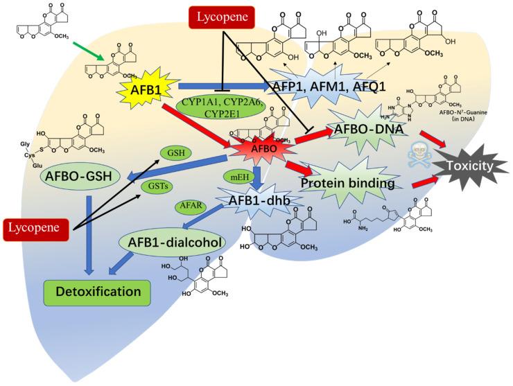 https://cdn.ncbi.nlm.nih.gov/pmc/blobs/d03a/11047733/31d33a2da5b0/antioxidants-13-00452-g005.jpg