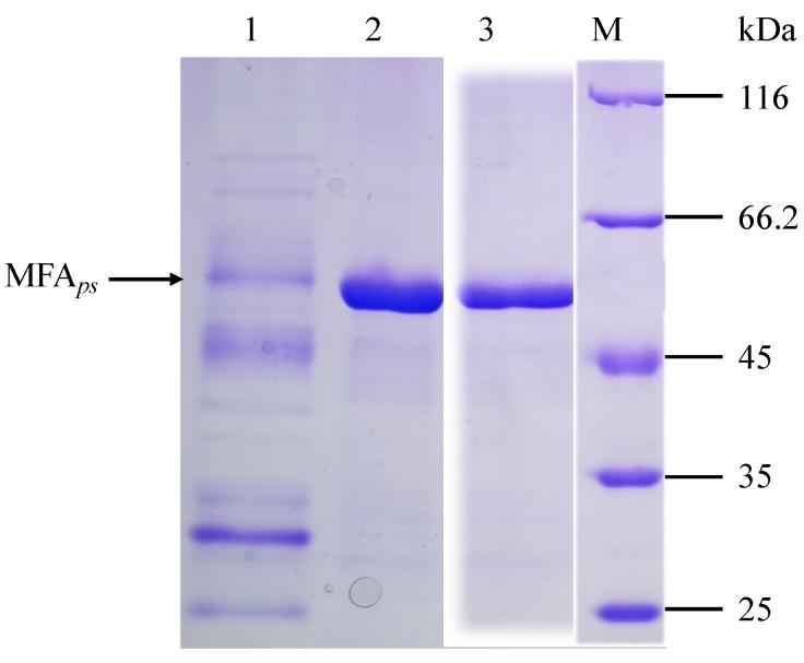 https://cdn.ncbi.nlm.nih.gov/pmc/blobs/d03d/9105970/0aa3e669ab84/foods-11-01207-g003.jpg