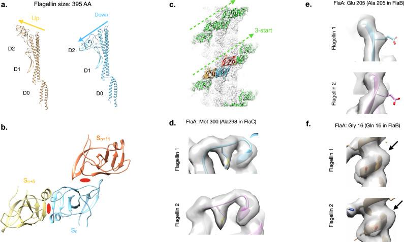 https://cdn.ncbi.nlm.nih.gov/pmc/blobs/d03e/8931119/2d9de83204b8/41467_2022_29069_Fig2_HTML.jpg