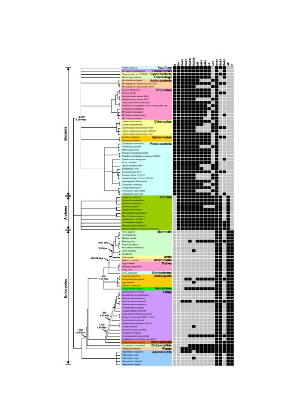 https://cdn.ncbi.nlm.nih.gov/pmc/blobs/d03f/1904249/414b773e0bd1/1471-2105-8-173-1.jpg