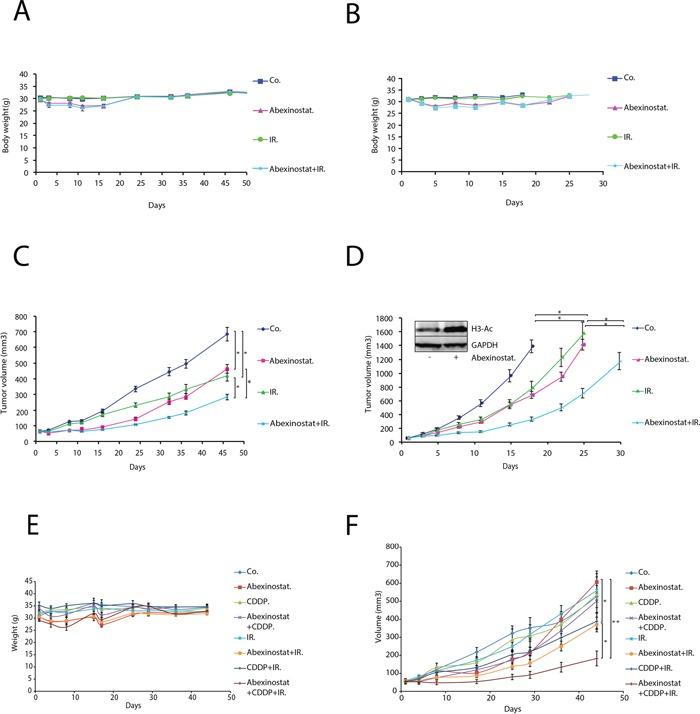 https://cdn.ncbi.nlm.nih.gov/pmc/blobs/d03f/5593556/31bc8bb81d72/oncotarget-08-56210-g006.jpg