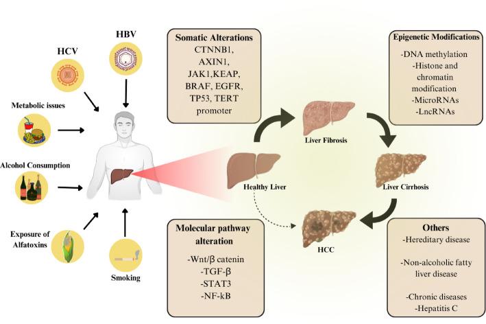 https://cdn.ncbi.nlm.nih.gov/pmc/blobs/d040/12234943/8ea800a6d727/12672_2025_3088_Fig1_HTML.jpg