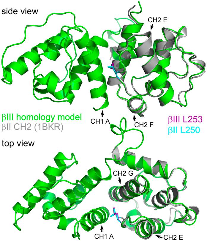 https://cdn.ncbi.nlm.nih.gov/pmc/blobs/d040/4756369/7996eb1ebdfe/srep21375-f1.jpg