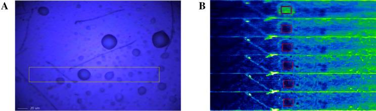 https://cdn.ncbi.nlm.nih.gov/pmc/blobs/d042/7438485/25238747cf2f/41598_2020_70462_Fig1_HTML.jpg