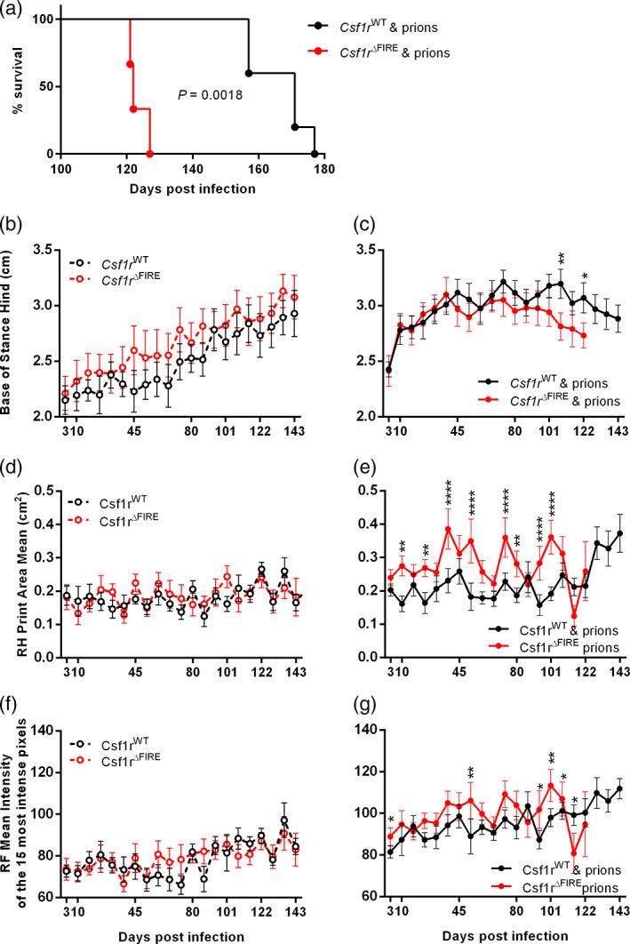 https://cdn.ncbi.nlm.nih.gov/pmc/blobs/d045/9544114/9c96fb0e17e1/GLIA-70-2169-g002.jpg