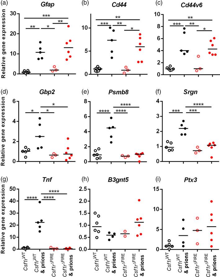 https://cdn.ncbi.nlm.nih.gov/pmc/blobs/d045/9544114/be8c37baf45b/GLIA-70-2169-g009.jpg