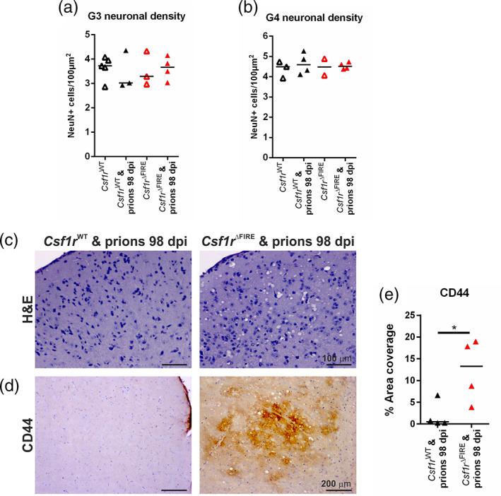 https://cdn.ncbi.nlm.nih.gov/pmc/blobs/d045/9544114/fe9de6d4be29/GLIA-70-2169-g008.jpg