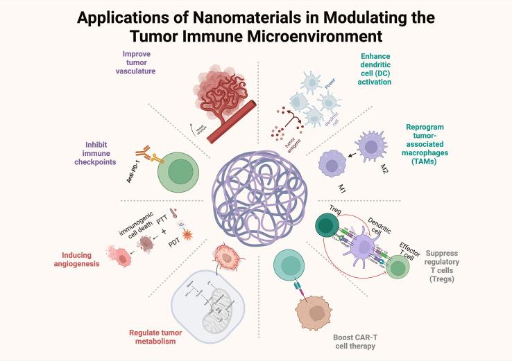 https://cdn.ncbi.nlm.nih.gov/pmc/blobs/d048/12263616/8f06d360e720/fimmu-16-1614640-g003.jpg