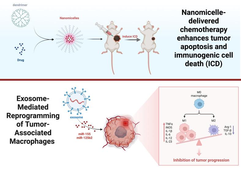 https://cdn.ncbi.nlm.nih.gov/pmc/blobs/d048/12263616/e63da7f024a3/fimmu-16-1614640-g006.jpg