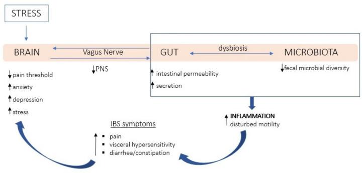 https://cdn.ncbi.nlm.nih.gov/pmc/blobs/d048/9416471/b2a29dcf0181/nutrients-14-03447-g001.jpg