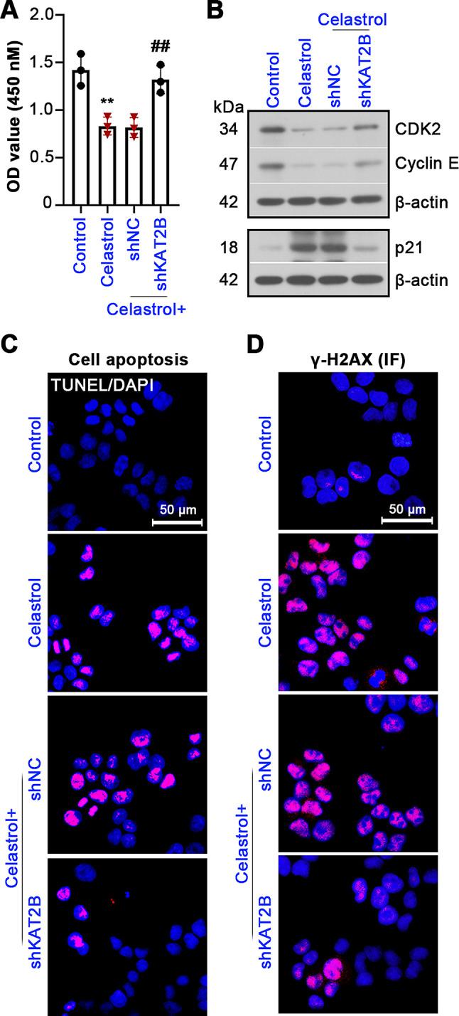 https://cdn.ncbi.nlm.nih.gov/pmc/blobs/d04a/11792231/4a52676f477b/10020_2025_1082_Fig6_HTML.jpg