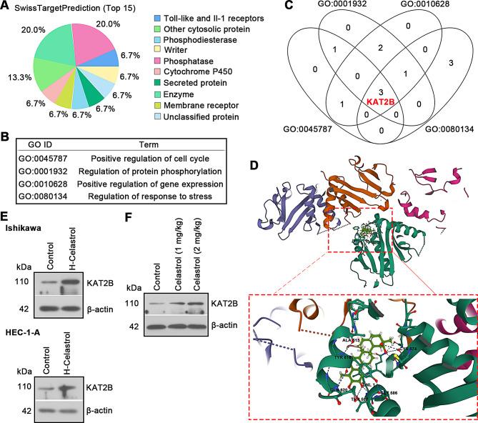 https://cdn.ncbi.nlm.nih.gov/pmc/blobs/d04a/11792231/6fab5f6b56b1/10020_2025_1082_Fig4_HTML.jpg