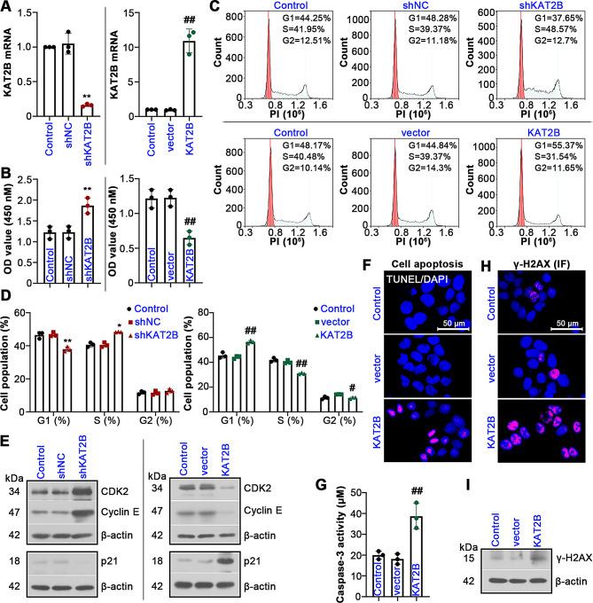 https://cdn.ncbi.nlm.nih.gov/pmc/blobs/d04a/11792231/ae4f84796e16/10020_2025_1082_Fig5_HTML.jpg