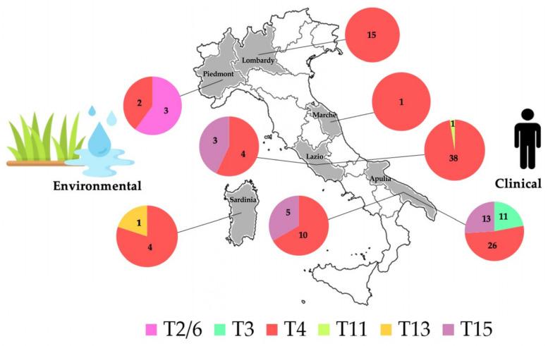 https://cdn.ncbi.nlm.nih.gov/pmc/blobs/d04b/10975192/ef681df2da46/microorganisms-12-00544-g003.jpg