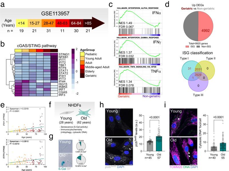 https://cdn.ncbi.nlm.nih.gov/pmc/blobs/d04c/10821893/b99295e4faa4/41467_2024_45044_Fig3_HTML.jpg