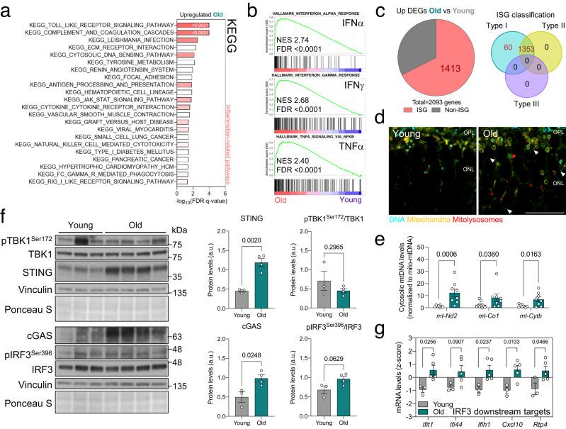 https://cdn.ncbi.nlm.nih.gov/pmc/blobs/d04c/10821893/c1a7535d0bb8/41467_2024_45044_Fig2_HTML.jpg