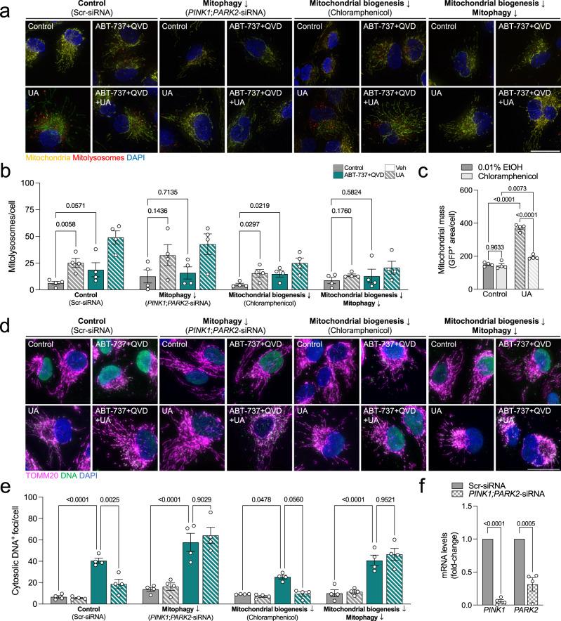 https://cdn.ncbi.nlm.nih.gov/pmc/blobs/d04c/10821893/c6122928db7c/41467_2024_45044_Fig7_HTML.jpg