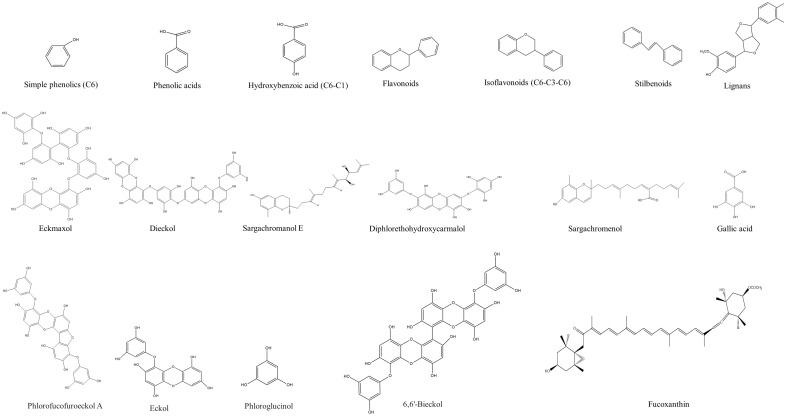 https://cdn.ncbi.nlm.nih.gov/pmc/blobs/d04c/11312663/fec2abcf50db/ijms-25-08419-g002.jpg