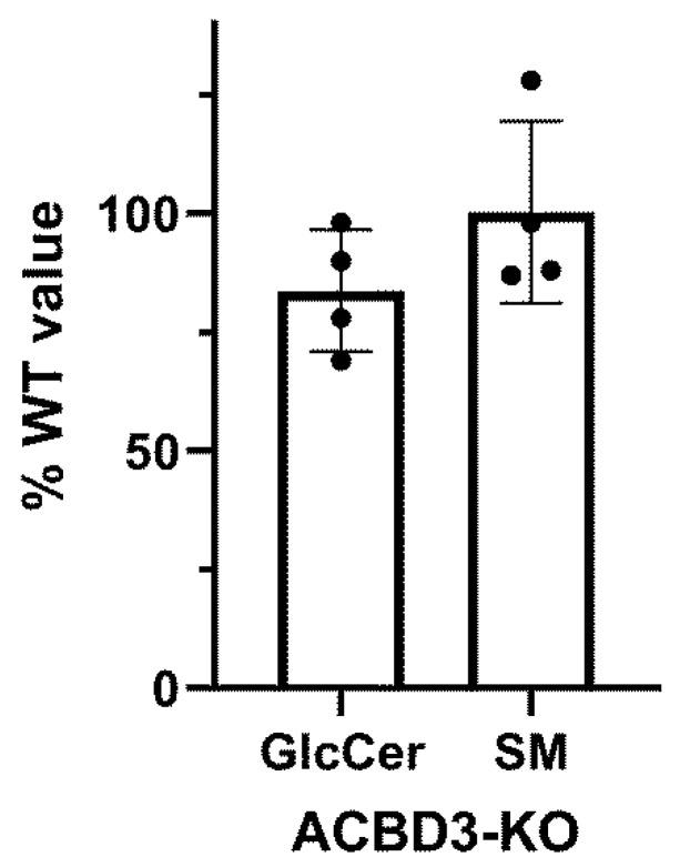 https://cdn.ncbi.nlm.nih.gov/pmc/blobs/d04c/8303370/656b78e34e0a/ijms-22-07270-g0A6.jpg