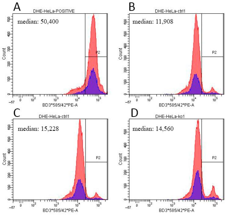 https://cdn.ncbi.nlm.nih.gov/pmc/blobs/d04c/8303370/82cbc4d21cd2/ijms-22-07270-g0A5.jpg