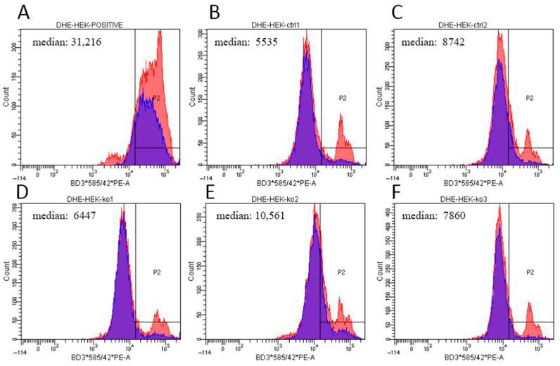 https://cdn.ncbi.nlm.nih.gov/pmc/blobs/d04c/8303370/9fe84854c86e/ijms-22-07270-g0A4.jpg