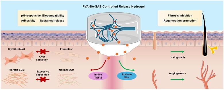 https://cdn.ncbi.nlm.nih.gov/pmc/blobs/d04d/11785367/e7dbc4cce91b/rbaf002f7.jpg