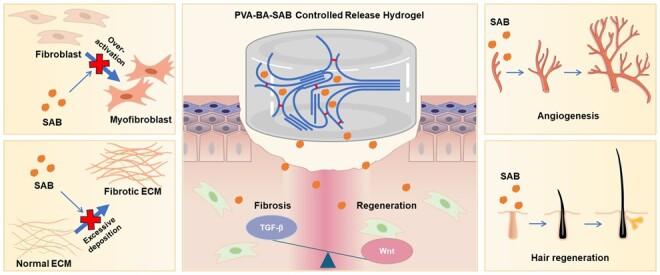https://cdn.ncbi.nlm.nih.gov/pmc/blobs/d04d/11785367/ff120ea39929/rbaf002f8.jpg
