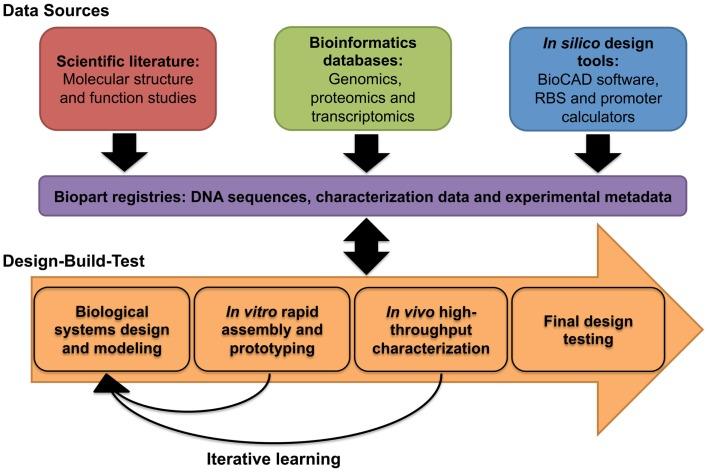 https://cdn.ncbi.nlm.nih.gov/pmc/blobs/d04e/4244866/ff3084734d8b/fbioe-02-00060-g003.jpg