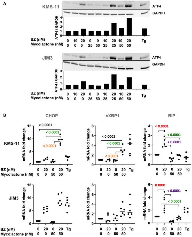 https://cdn.ncbi.nlm.nih.gov/pmc/blobs/d04e/8899908/a2f88188d0a9/EMMM-14-e14740-g006.jpg