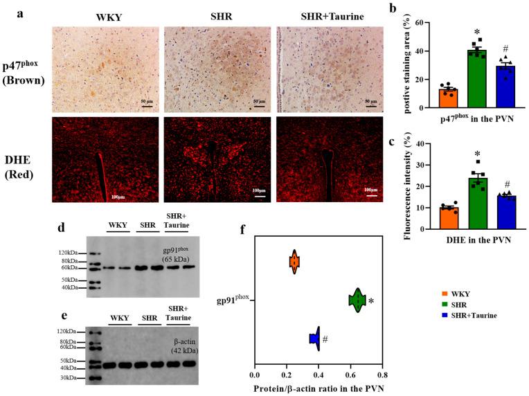 https://cdn.ncbi.nlm.nih.gov/pmc/blobs/d050/11673895/949e40a860b3/biomedicines-12-02711-g006.jpg