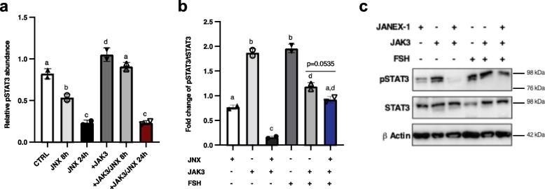 https://cdn.ncbi.nlm.nih.gov/pmc/blobs/d051/10280845/affada115d3b/12860_2023_482_Fig4_HTML.jpg