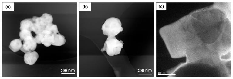 https://cdn.ncbi.nlm.nih.gov/pmc/blobs/d054/5457014/9e751daa8fa3/materials-09-00955-g005a.jpg