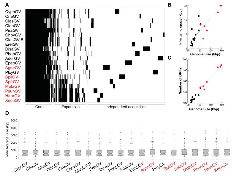 https://cdn.ncbi.nlm.nih.gov/pmc/blobs/d054/5869527/ca170f0b31df/viruses-10-00134-g004.jpg