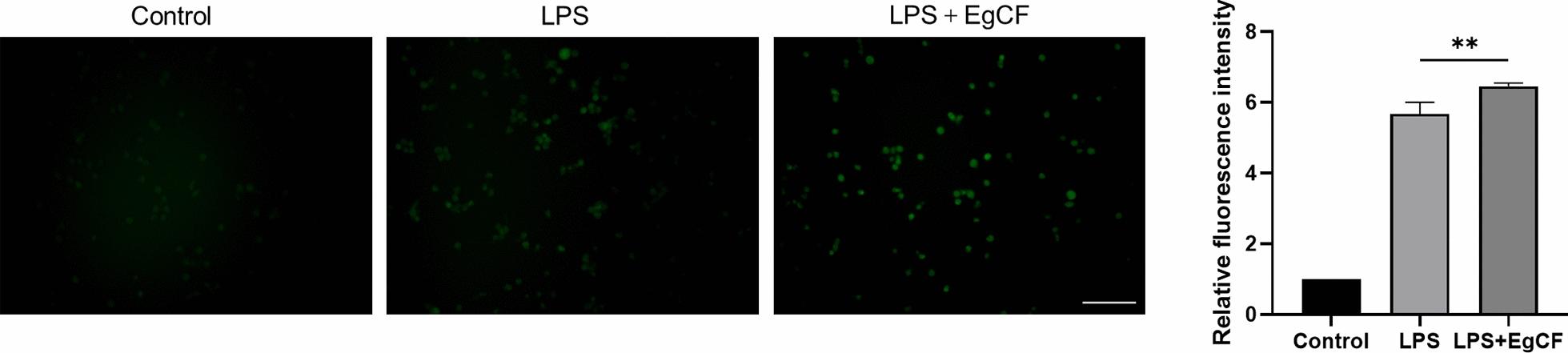 https://cdn.ncbi.nlm.nih.gov/pmc/blobs/d056/10652454/34bdf2629363/13071_2023_6041_Fig2_HTML.jpg