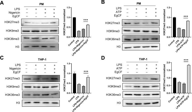 https://cdn.ncbi.nlm.nih.gov/pmc/blobs/d056/10652454/cd20249f4dbc/13071_2023_6041_Fig5_HTML.jpg