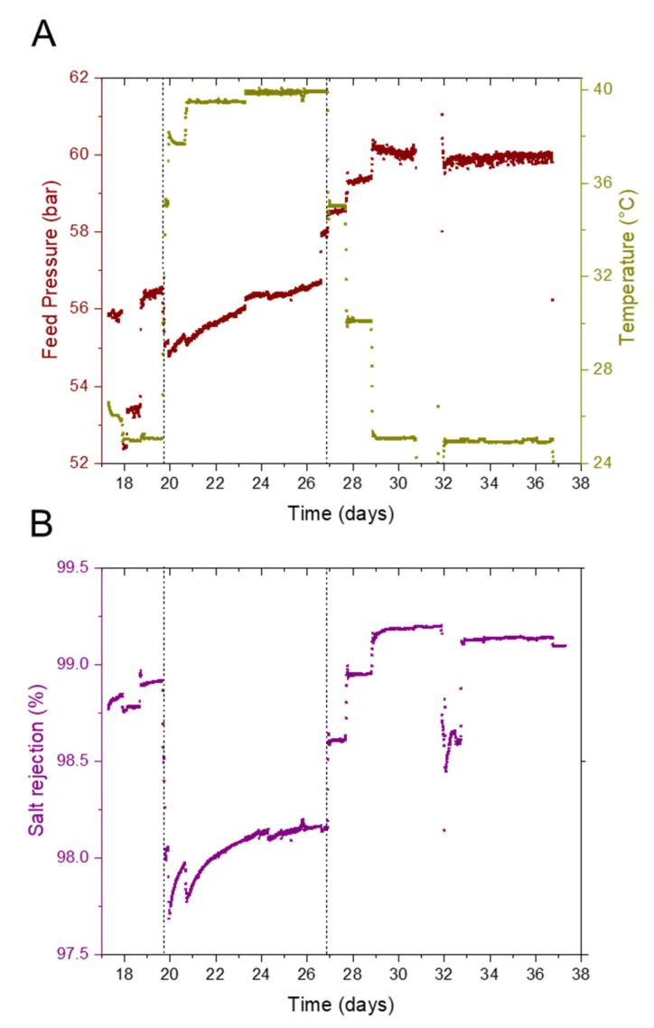 https://cdn.ncbi.nlm.nih.gov/pmc/blobs/d056/9416791/1ecaee7732dc/membranes-12-00792-g005.jpg