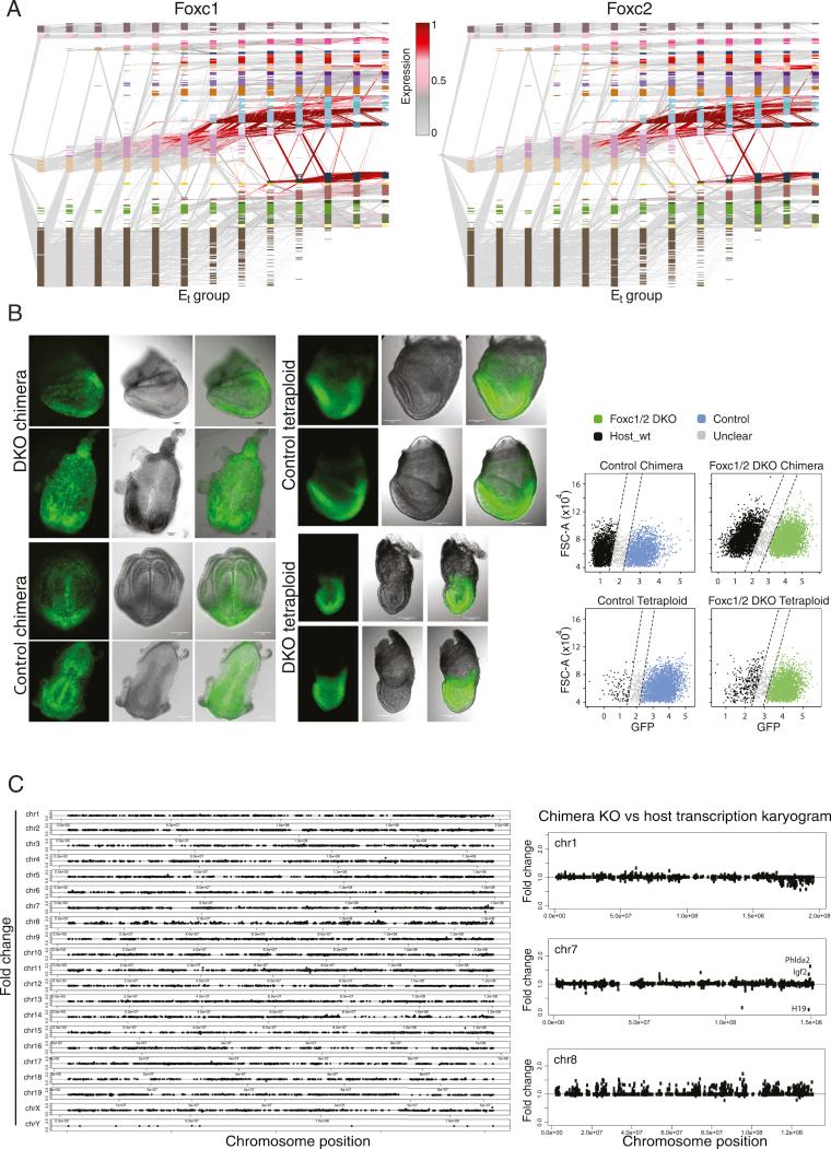 https://cdn.ncbi.nlm.nih.gov/pmc/blobs/d058/8162424/286fe5459e39/figs6.jpg