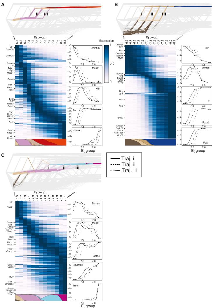 https://cdn.ncbi.nlm.nih.gov/pmc/blobs/d058/8162424/b3521a7fc686/gr3.jpg