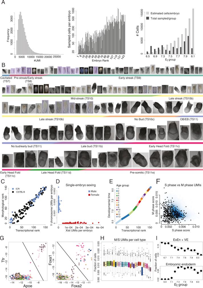 https://cdn.ncbi.nlm.nih.gov/pmc/blobs/d058/8162424/f9665c6c49a6/figs1.jpg