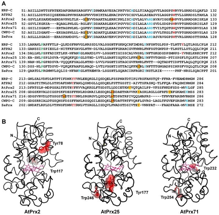 https://cdn.ncbi.nlm.nih.gov/pmc/blobs/d059/4138150/722c157d48be/pone.0105332.g003.jpg